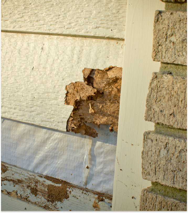 Siding installation project by Sands Roofing in the SC Midlands